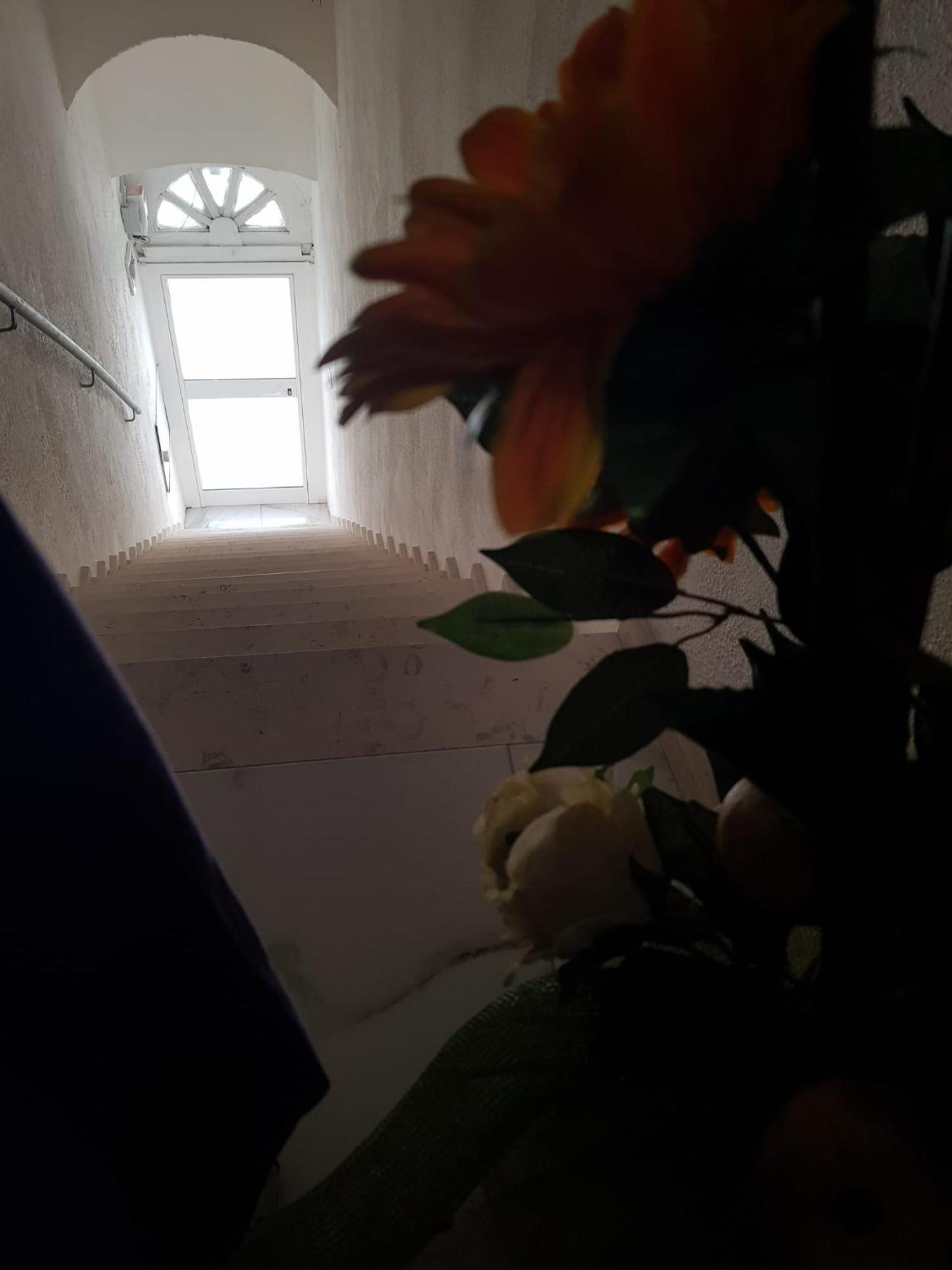 Di Fronzo Guest House T Triggiano Buitenkant foto